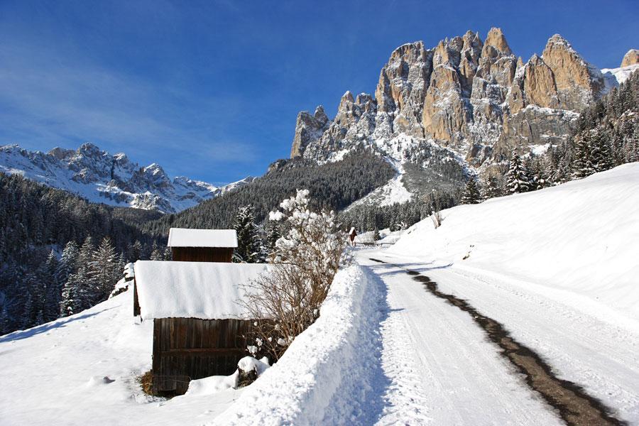 Appartamenti Dolomiti Moena Luaran gambar